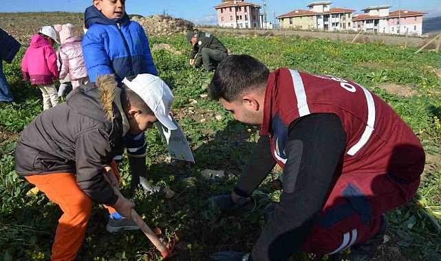 Manisa'da yanan alanlara 100 bininci fidan dikildi
