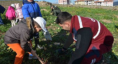 Manisa'da yanan alanlara 100 bininci fidan dikildi
