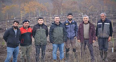 Manyas'ta orman köylüsüne gelir getirici ağaçlandırma