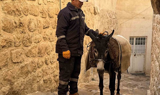 Mardin'de 'kadrolu' eşekleri emekli edecek proje hayata geçiyor
