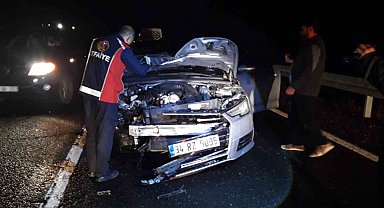 Mardin'de otomobilin çarptığı at telef oldu