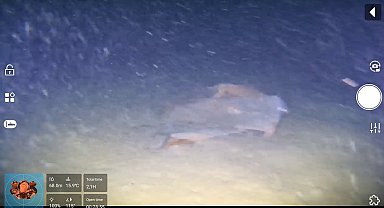 Marmara denizinin dibinde 50 yıllık sır ortaya çıkıyor