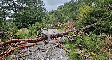Menteşe Akbük'te şiddetli yağış ve rüzgar etkili oldu