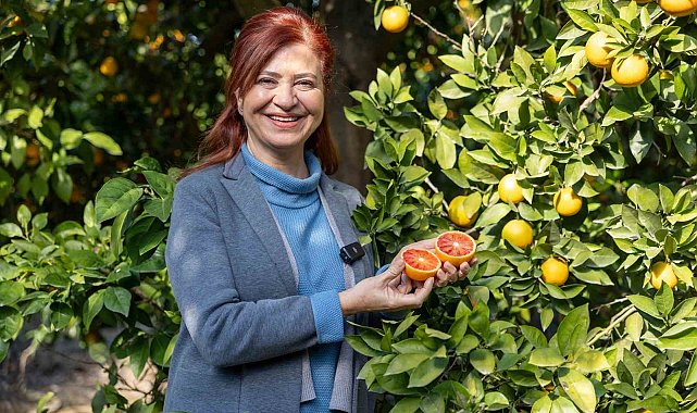 Mersin kan portakalında hedef AB tescili