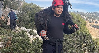 Mersin'de kayalıklarda mahsur kalan 2 keçi itfaiye ekiplerince kurtarıldı