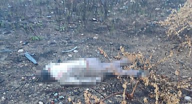 Mersin'de kaza yapan araç otoyolda, sürücüsü 30 metrelik köprünün altında ölü bulundu