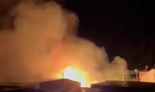 Mersin'de sazlık alandaki yangın söndürüldü: Bir sera zarar gördü