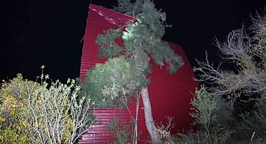 Mersin'de şiddetli rüzgar çatıyı uçurdu, asırlık meşeyi devirdi