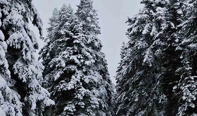 Meteorolojinin uyardığı Çankırı'da kar yağışı etkili oldu