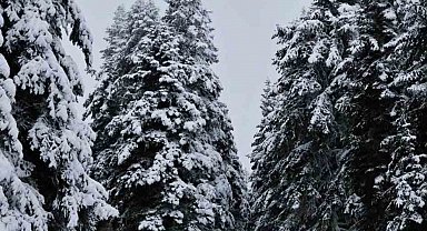 Meteorolojinin uyardığı Çankırı'da kar yağışı etkili oldu