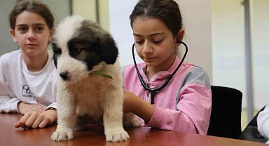 Minik veterinerler görev başında