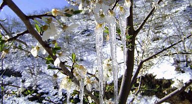 Muğla'da hava sıcaklığı -3'lere düşüyor