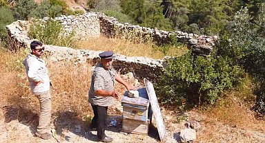 Muğla'da kovan barınakları tekrar ayağa kaldırılıyor