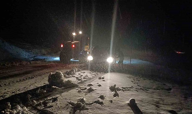 Muş'ta yoğun kar yağışı: Hasköy-Mutki yolu ulaşıma kapandı