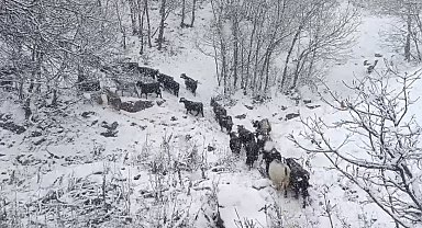 Muş'un yüksek rakımlı köylerde kar etkili oldu, besiciler zor anlar yaşadı