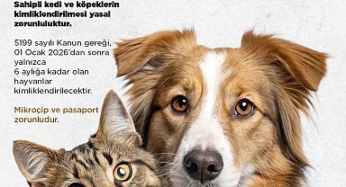 Niğde Belediyesi'nden kedi ve köpek sahiplerine uyarı: Son başvuru 31 Aralık 2025