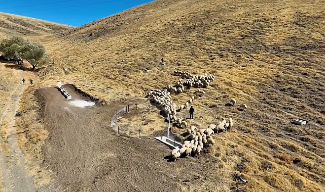 Niğde'de meralara yeni hayvan içme suyu alanı kazandırıldı