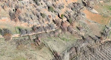 Nurhak'ta yaban domuzu avı yapıldı