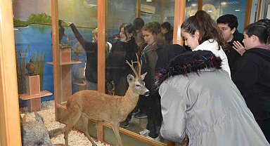 Öğrenciler hayvan müzesini ilgi ile gezdi