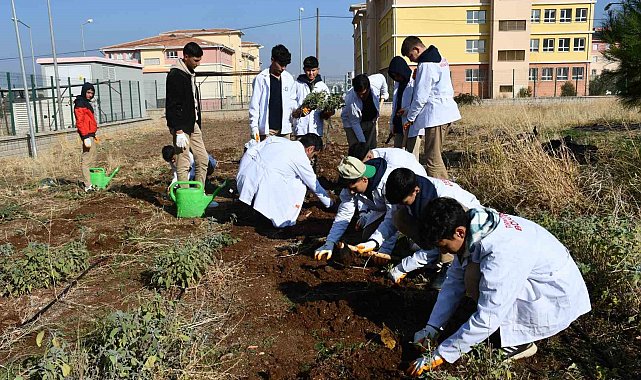 Öğrencilere 'tohumdan sofraya' tarım eğitimi