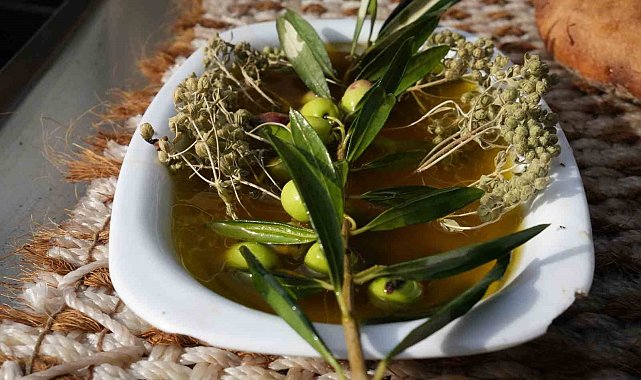 Oleolog Dr. Kıvrak: "Erken ve olgun hasat zeytinyağları farklı içeriklere sahiptir"