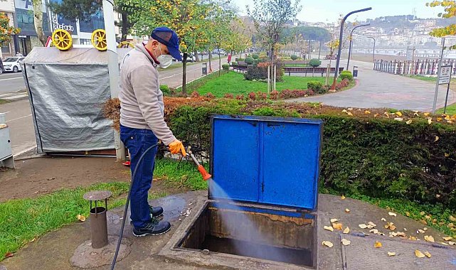 Ordu'da haşerelere karşı kışlak çalışması başlatıldı