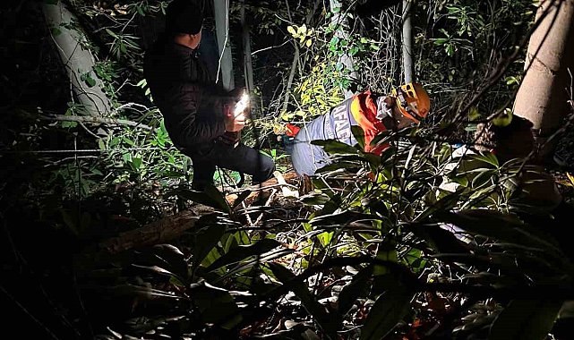 Orman işçisi için ekipler seferber oldu