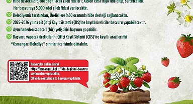 Osmangazi Belediyesi yüzde 50 hibeli çilek fidesi dağıtacak