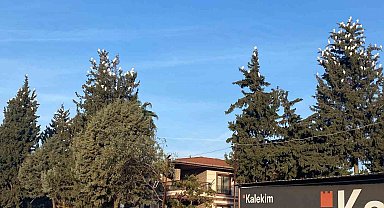 Osmaniye'de sığır balıkçıllarının kış konaklaması ilgi çekiyor