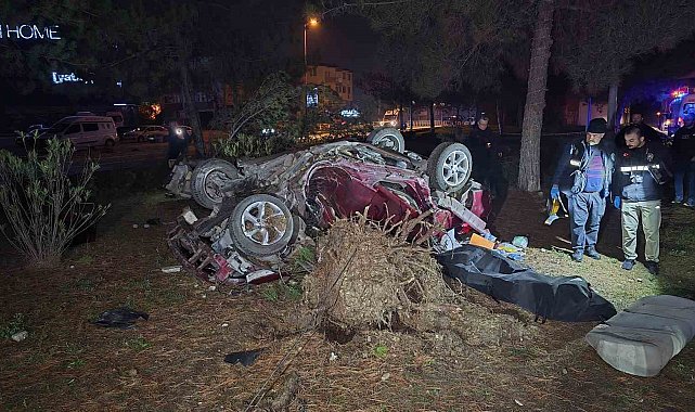 Otomobil, takla atarak çarptığı ağacı kökünden söktü: 1 ölü