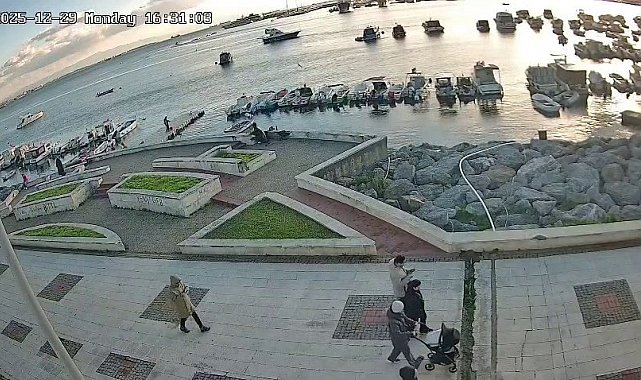 Pendik'te vicdanları sızlatan olay: Kediye tekme atıp denize fırlattı