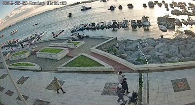 Pendik'te vicdanları sızlatan olay: Kediye tekme atıp denize fırlattı