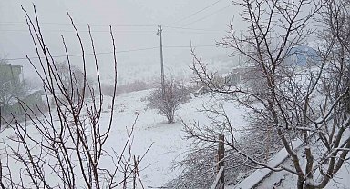 Posof'ta kar yağışı etkili oluyor