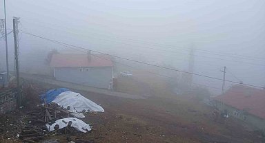 Posof'ta yoğun sis etkiliyor oluyor