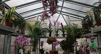 "Çiçek Doktoru" Ersan: "İnsanlar bitkileriyle ilgili yaşamış oldukları sorunları bana iletiyor, ben de onlara çözümler üretiyorum"