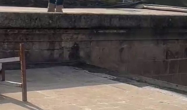 "İşten atıldım" diyerek Balıklıgöl'e atladı