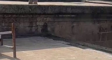 "İşten atıldım" diyerek Balıklıgöl'e atladı