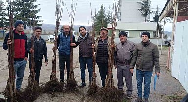 "Meyveciliği Geliştirme" projesi Pazaryeri'nde hayata geçti