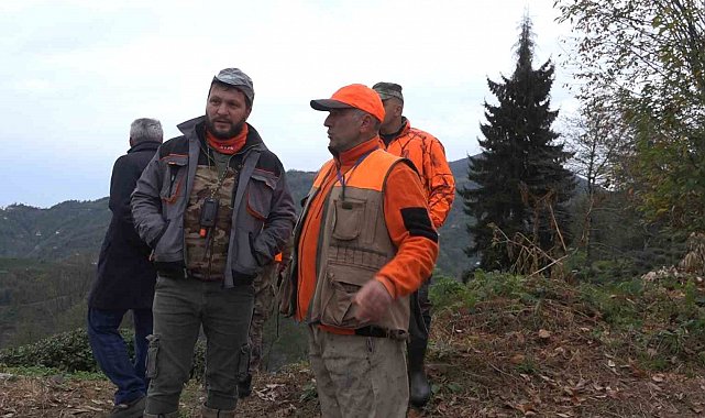 Rize'de ayı için sürek avı başlatıldı