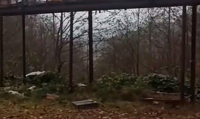 Rize'de ayılara demir profilli tezgah da çare olmadı