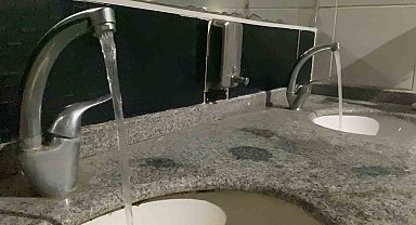 Salmonella enfeksiyonuna karşı altın kuralları uzmanı açıkladı