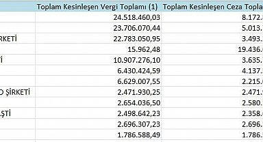 Samsun'un 'vergi yüzsüzleri' açıklandı