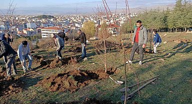 Sandıklılı yarenler badem fidan dikti