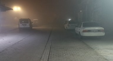 Şanlıurfa'da gece boyu yoğun sis etkili oldu