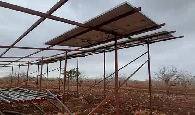 Şanlıurfa'da hırsızlar sisli havada güneş enerjisi panellerine dadandı