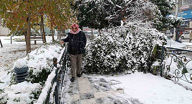 Şanlıurfa'da kar yağışı nedeniyle ağaç devrildi