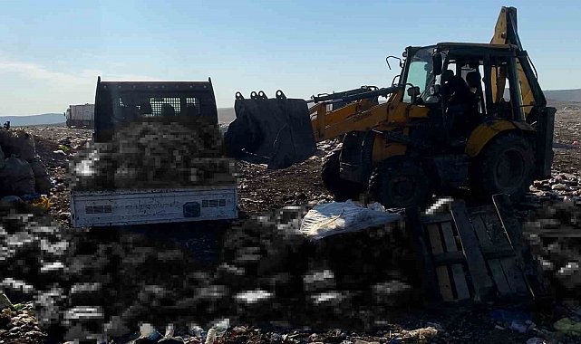 Şanlıurfa'da tarihi geçmiş 8 bin şişe meşrubat ele geçirildi