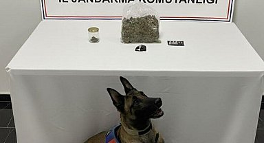 Şanlıurfa'da uyuşturucu operasyonu: 1 gözaltı