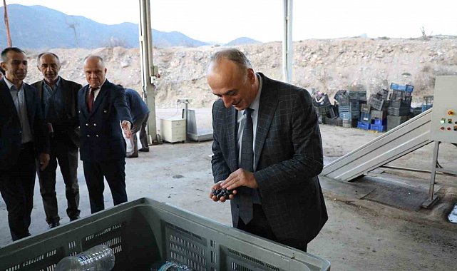 Sarıcakaya zeytinle ön plana çıkıyor