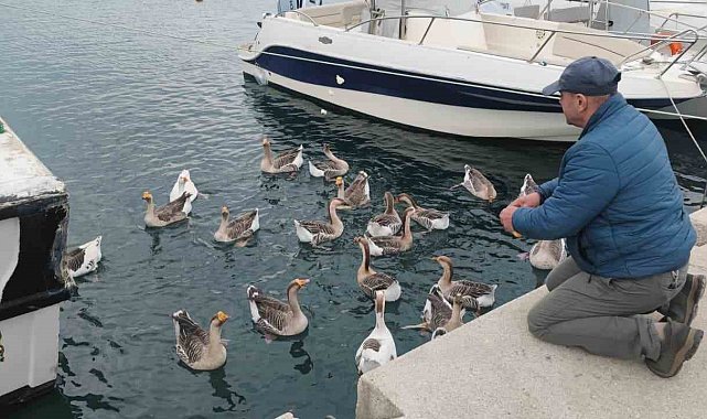 Şarköy'ün maskotu 'Vakvaklar'
